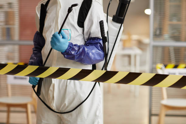 Professional Sewage Cleanup technician working in West Hills, CA